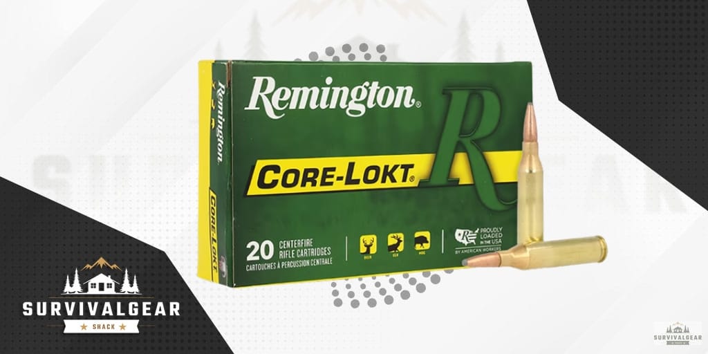 Remington Core-Lokt .243 Winchester 100 Grain Centerfire Rifle Ammo